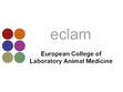 ECLAM