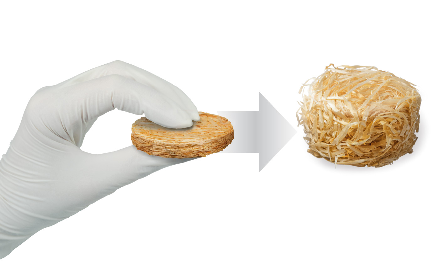 SAFE® compact after autoclaving