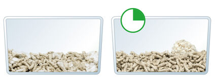 Long Term Enrichment