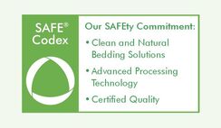 Safe Codex